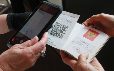 В торговом центре Саранска поймали 8 человек с поддельным QR-кодом
