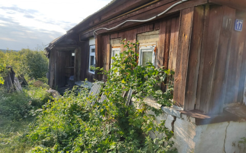 Помощница по хозяйству обокрала пенсионера из Мордовии