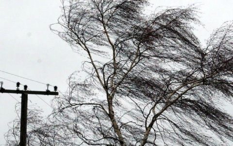 Оперативное предупреждение объявлено в Мордовии на 8 ноября