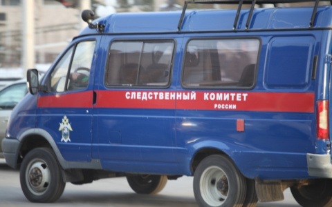 Жительница Мордовии насильно удерживала в сарае свою знакомую