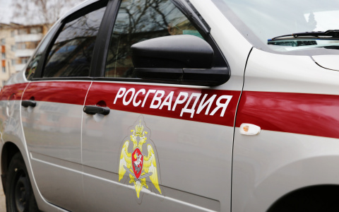 Два водителя подрались в Саранске: их разнимали сотрудники Росгвардии