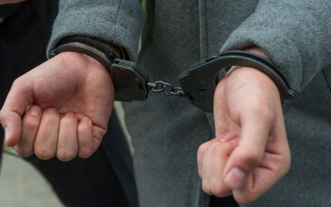 В Саранске мужчина совершил разбойное нападение на 16-летнюю девушку