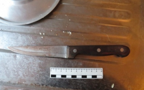 Жительница Рузаевки убила свою подругу