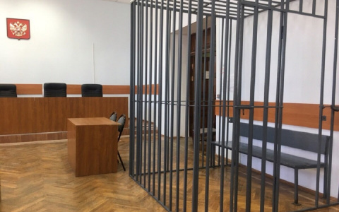 Директора Торгово-промышленной палаты Мордовии отправили под домашний арест