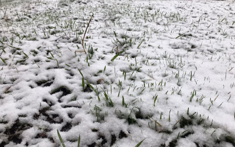 В Мордовии температура воздуха упадёт до -8 градусов