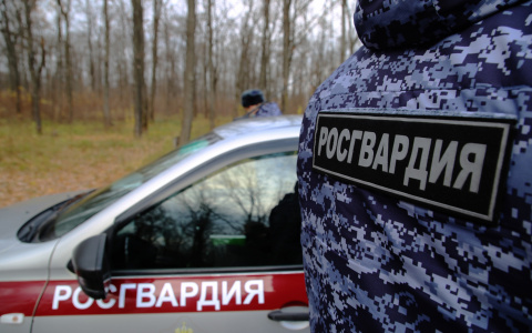 Молодой житель Саранска пытался украсть из магазина товары, спрятав их в карманы