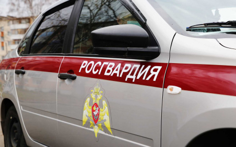 В Саранске молодой человек попытался украсть алкоголь из сетевого магазина