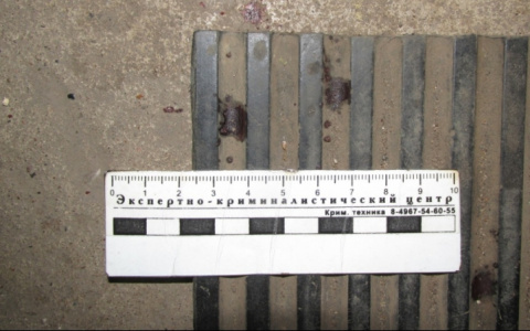 Пытавшийся помочь подруге житель Рузаевки осуждён на 2 года колонии