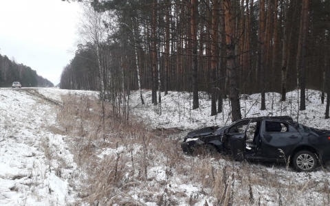 На трассе в Мордовии иномарка съехала в кювет