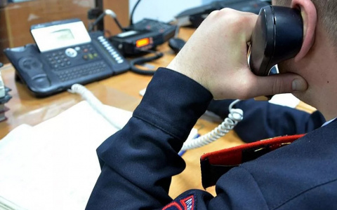 МВД Мордовии организует работу детского телефона доверия