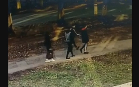 Компания парней избила мужчину в Саранске