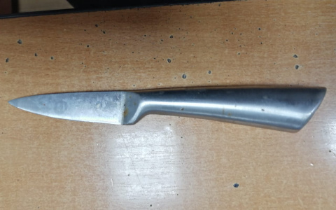 Житель Мордовии в пылу пьяной ссоры ударил брата ножом