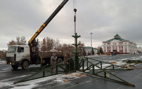 В центре Саранска начали устанавливать новогоднюю ёлку
