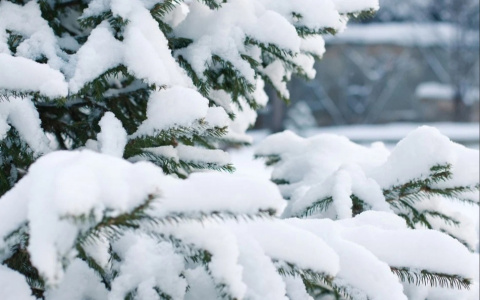 Звезды рассказали, кому сегодня повезет: гороскоп на 29 ноября для всех знаков