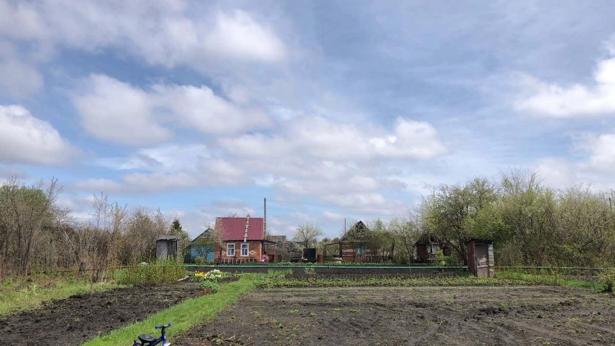 Оставила лавровый лист в огороде — и душа спокойна: проделываю это каждую осень — эффект радует много лет
