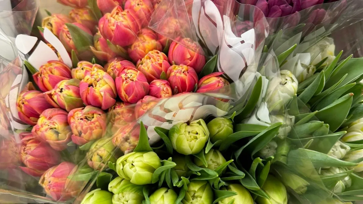 Приставы Саранска поздравили женщин цветами и присоединились к сдаче крови