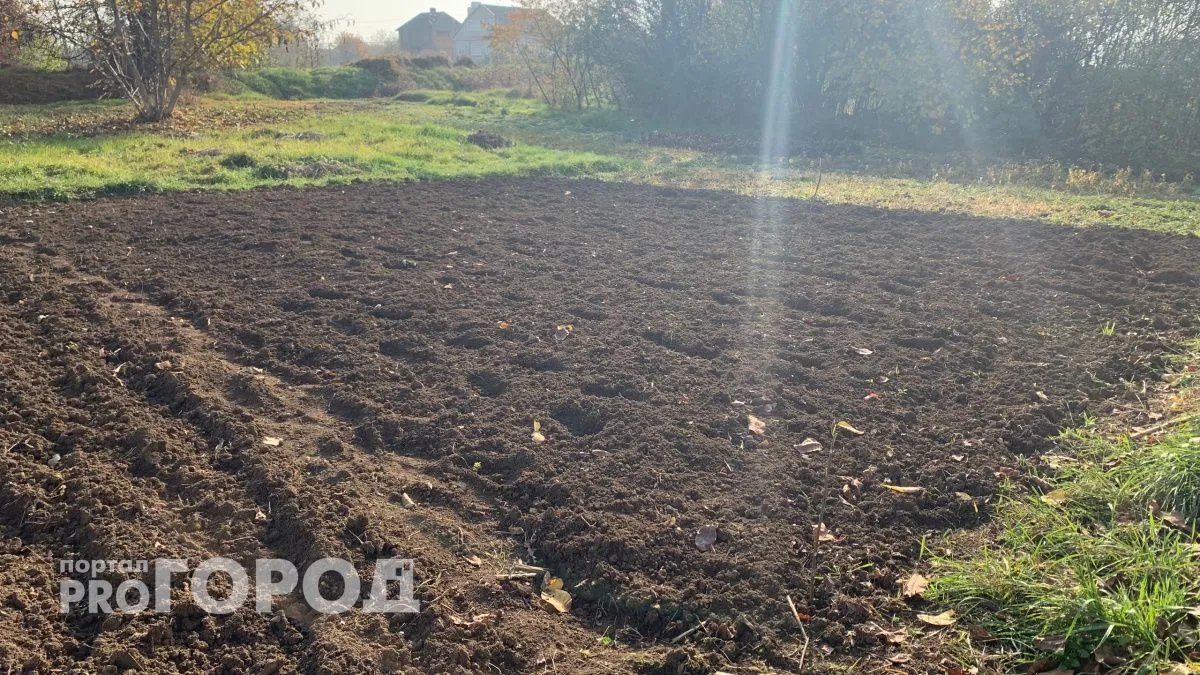 В Мордовии завод замороженной выпечки и пиццы получил премию «Агроинвестор года»