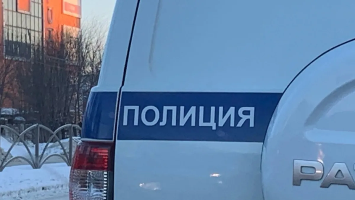 Полицейские г. Саранска разыскивают мужчину, причастного к краже товаров из магазина