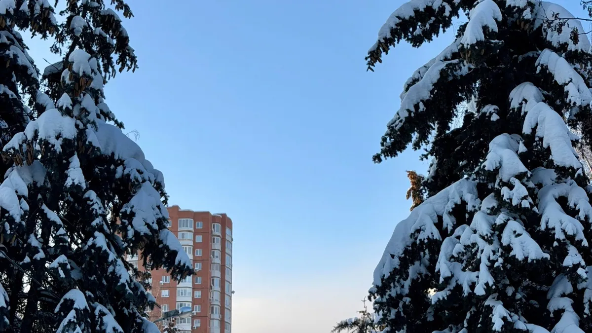 Морозы еще вернутся: синоптики рассказали о погоде в Мордовии на март