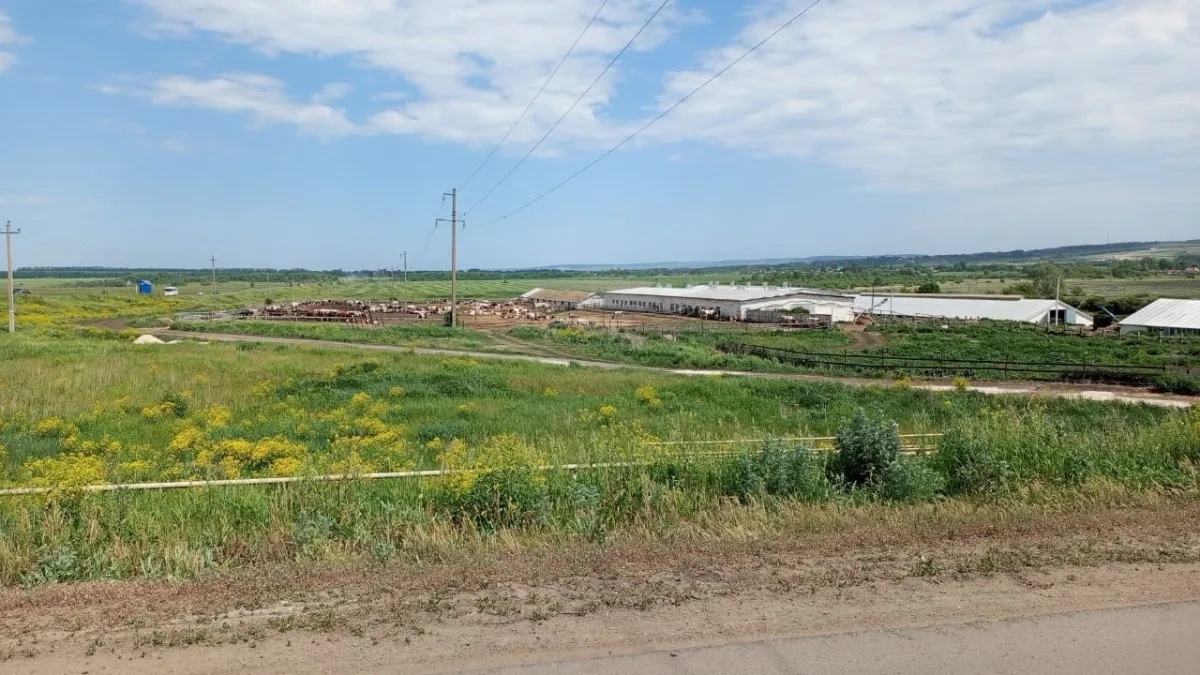 В Мордовии собрали больше 76 тонн сои