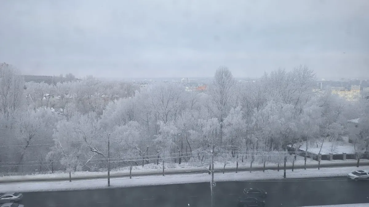 В Ботаническом саду Саранска заметили лису