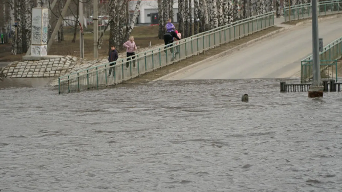Прогноз: в зоне подтопления могут оказаться более 600 домов в Саранске