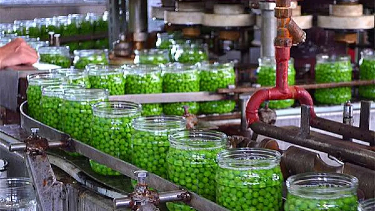 Консервный завод Саранска вернется в госсобственность: суд отменил приватизацию