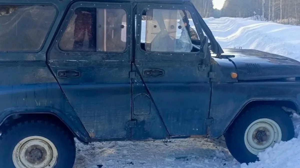 «Снежный вал» обернулся травмой: подробности ДТП в Ардатовском районе