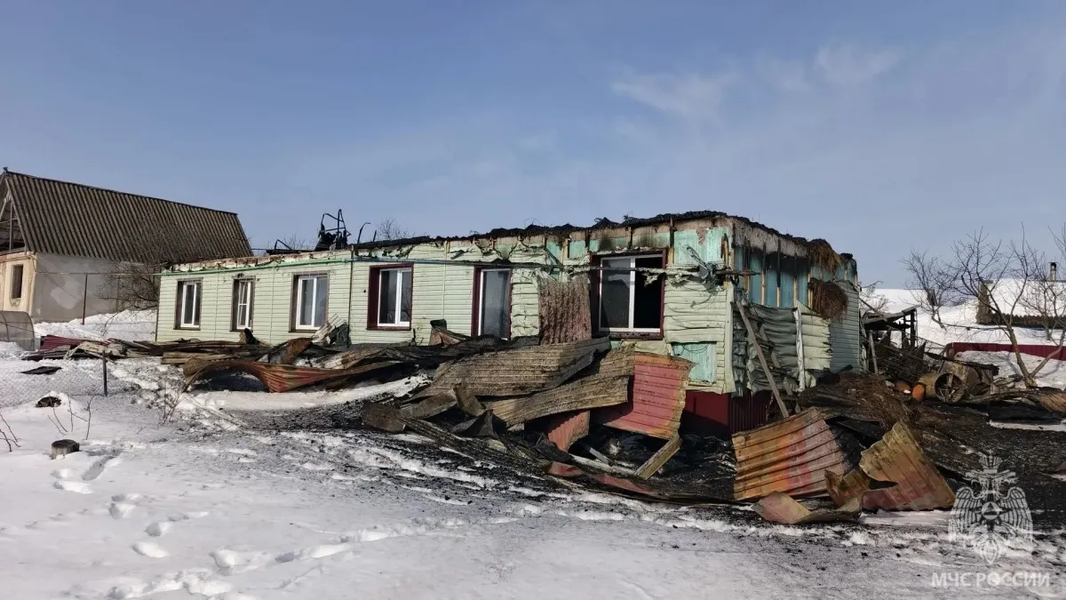 Дознаватель МЧС России выясняет причину пожара в Рузаевском районе