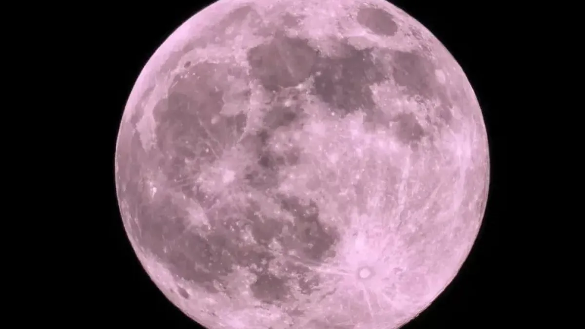 Явление природы: жители Мордовии увидят "розовую" луну