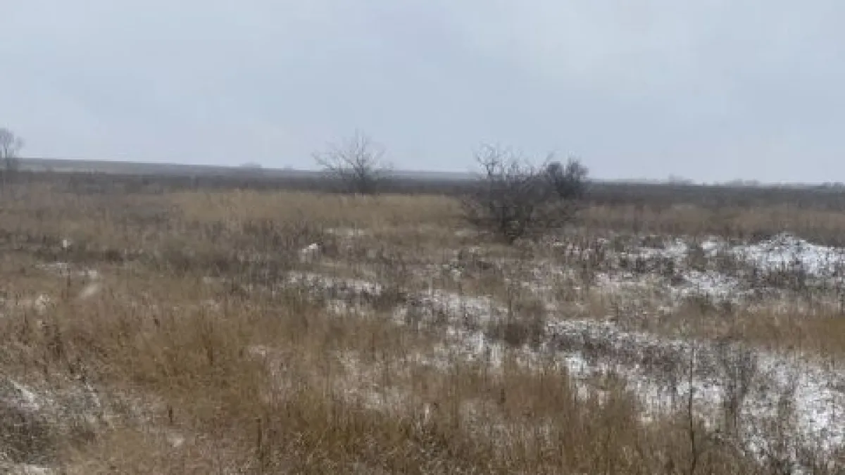 В Мордовии агропредприятие получило штраф за заросшие земли