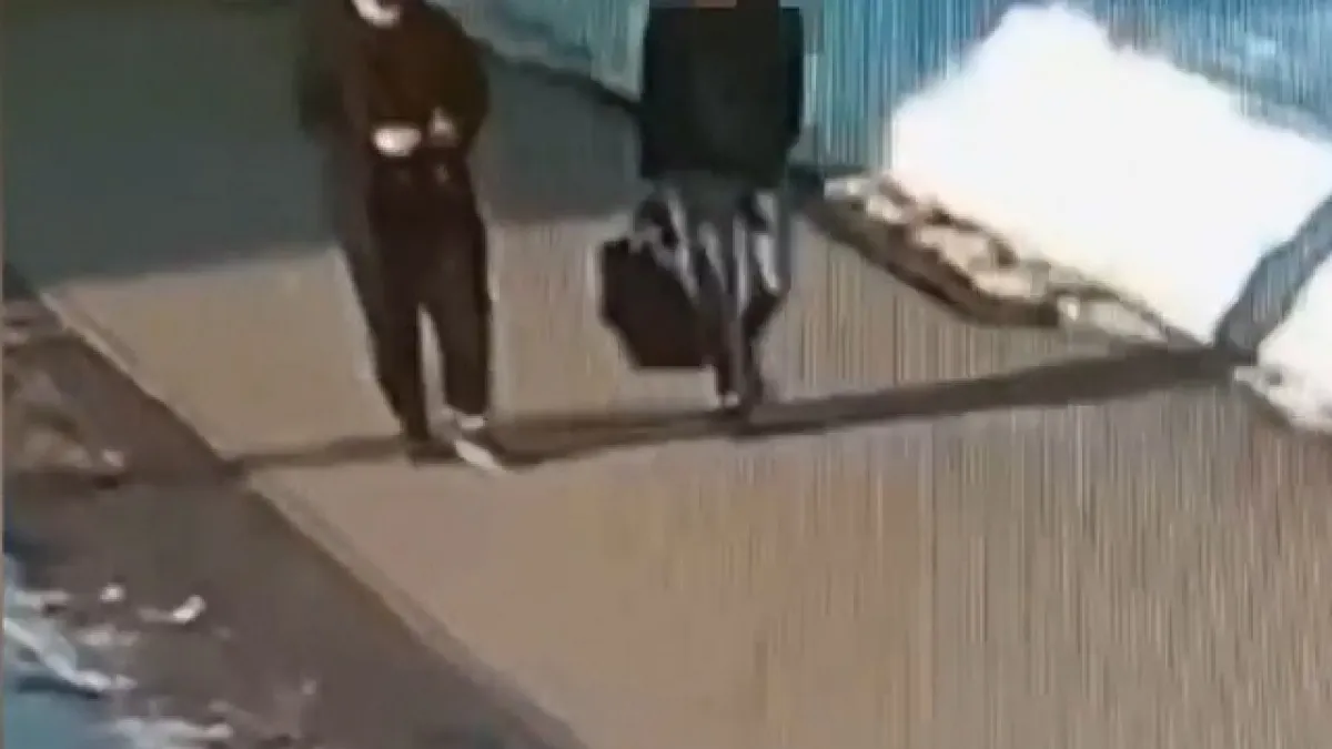 В Мордовии заведено 390 уголовных дел против сетевых мошенников