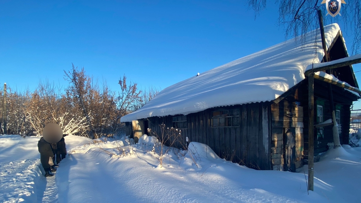 Подростки украли у односельчанина плиту и нагреватель в Чамзинском районе