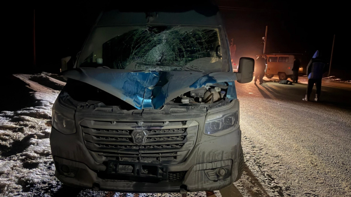 В Мордовии насмерть задавили пешехода на подъезде к Ковылкино