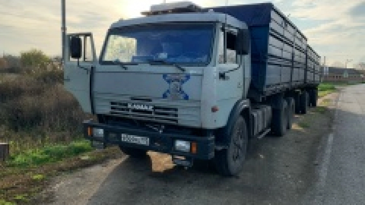 В Мордовии дорогу к кладбищу практически уничтожили во время вывоза леса