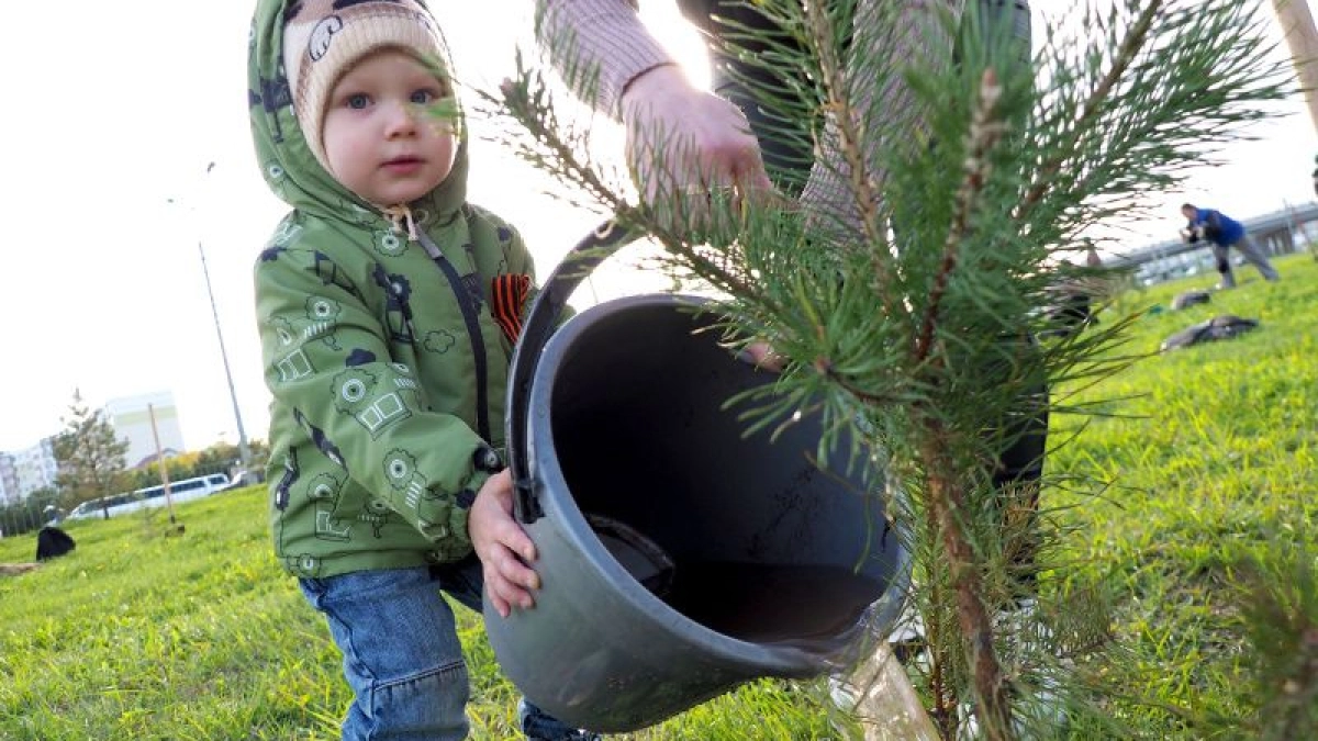 "Сад памяти": в Мордовии высадят тысячи деревьев в честь поколения победителей