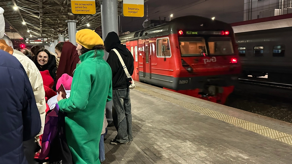 Принудительное лечение: в Мордовии осудили жительницу Ульяновска, задержанной в поезде с наркотиками