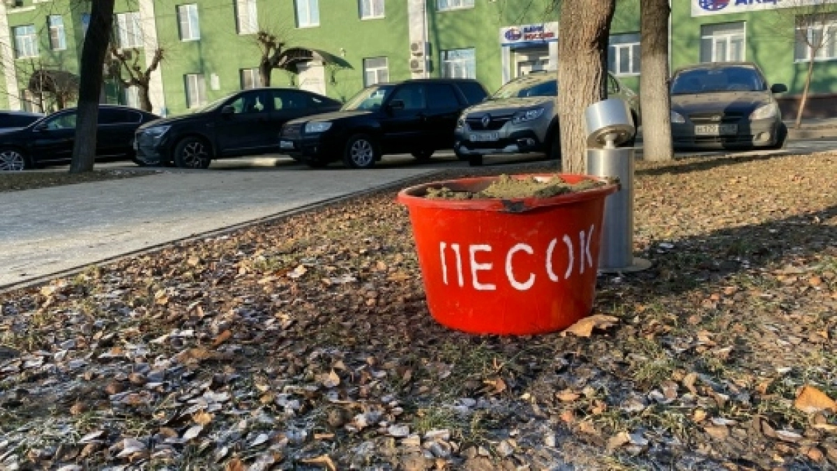 «Кустарники просто выдрали»: что произошло у дома на улице Полежаева в Саранске