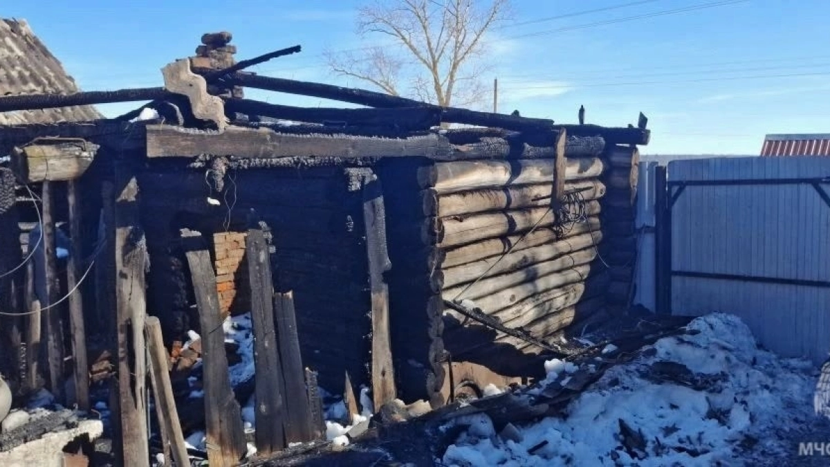 Причины выясняются: пожарные Мордовии справились с огнем в Зубово-Полянском районе