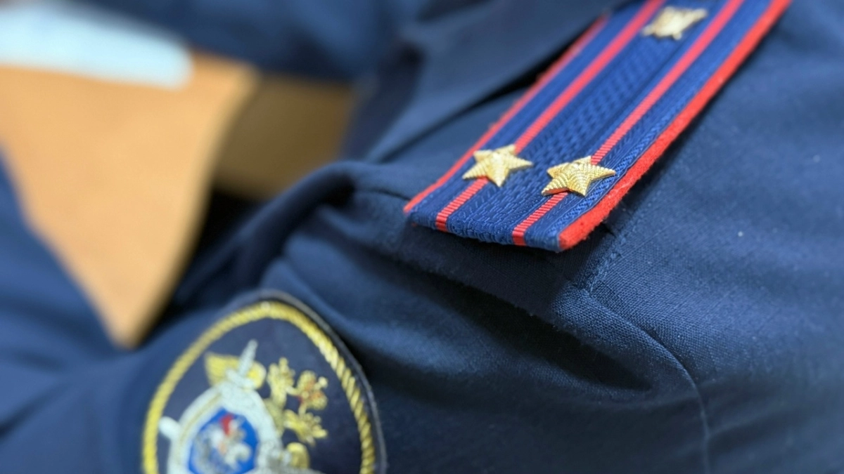 В Саранске взят под стражу начальник отдела коммерческой фирмы по подозрению в подкупе в 2,5 млн рублей