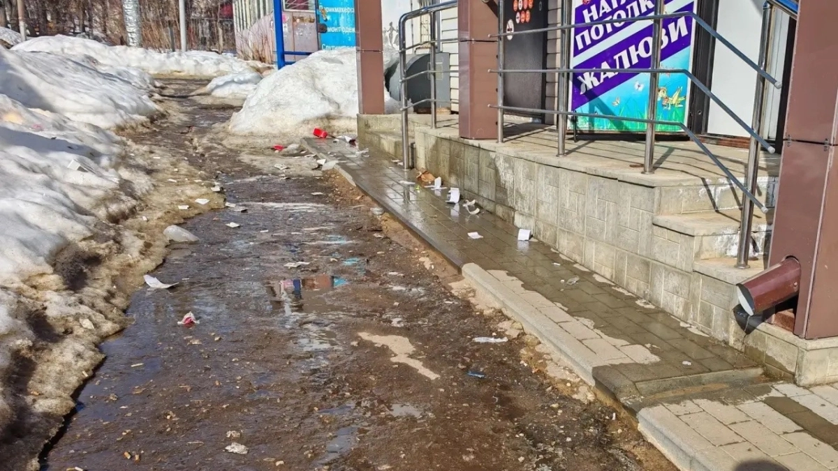 Глава Рузаевки Алексей Домнин о чистоте в городе: "Зима ушла, и вместе со снегом вскрылись проблемы"