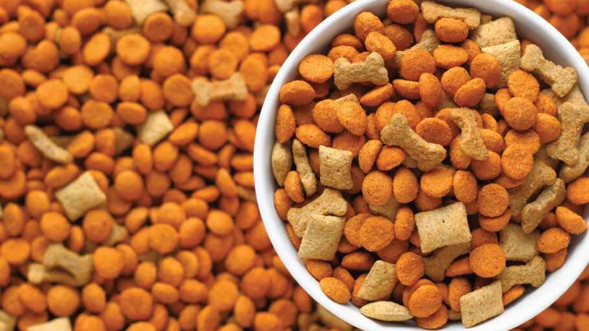 Из Мордовии в Абхазию отправилось 13 тонн кормов для домашних животных