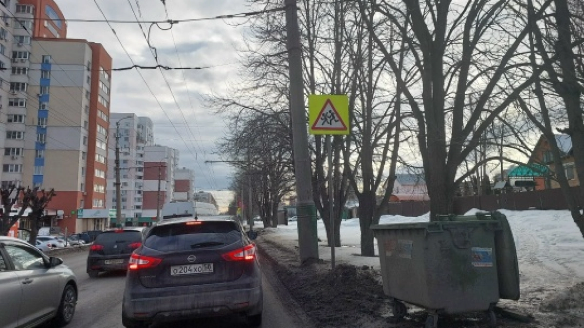 В Рузаевке сгорел мусорный бак: жители говорят о поджоге