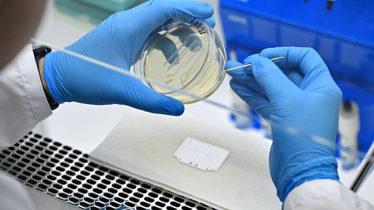 Ученые Мордовии предложили новаторский метод лечения грибковых заболеваний