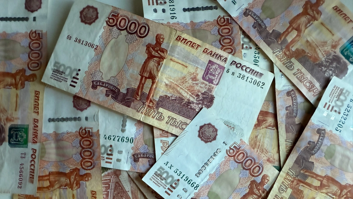 В Мордовии директор МУПа скрыл от налогового органа более 6 млн рублей