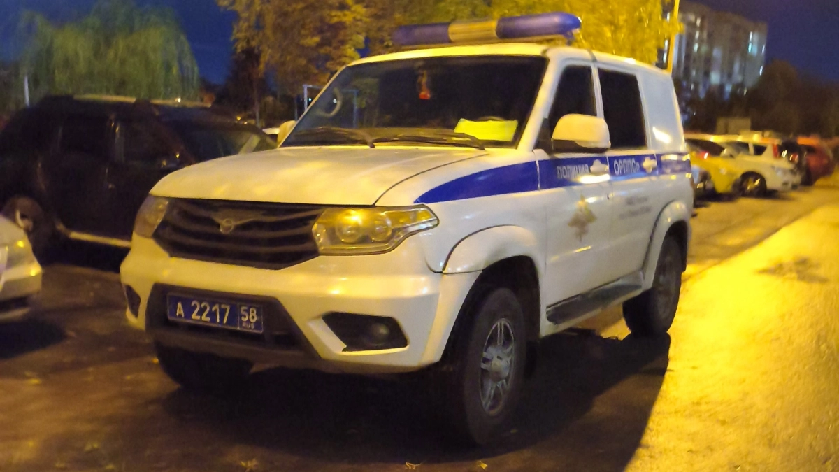 Полицейские г. Саранска задержали участников драки на ул. Чкалова