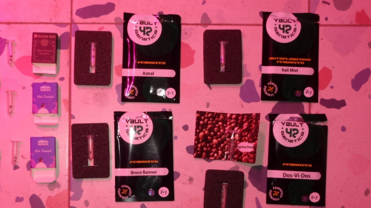 Житель Рузаевки на три года отправился в тюрьму за незаконное хранение наркотиков