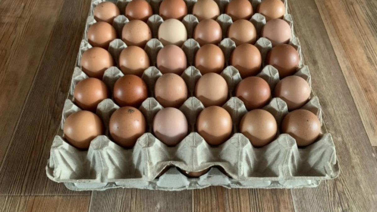 В Саранске покупатели массово жалуются на гнилые яйца в магазине