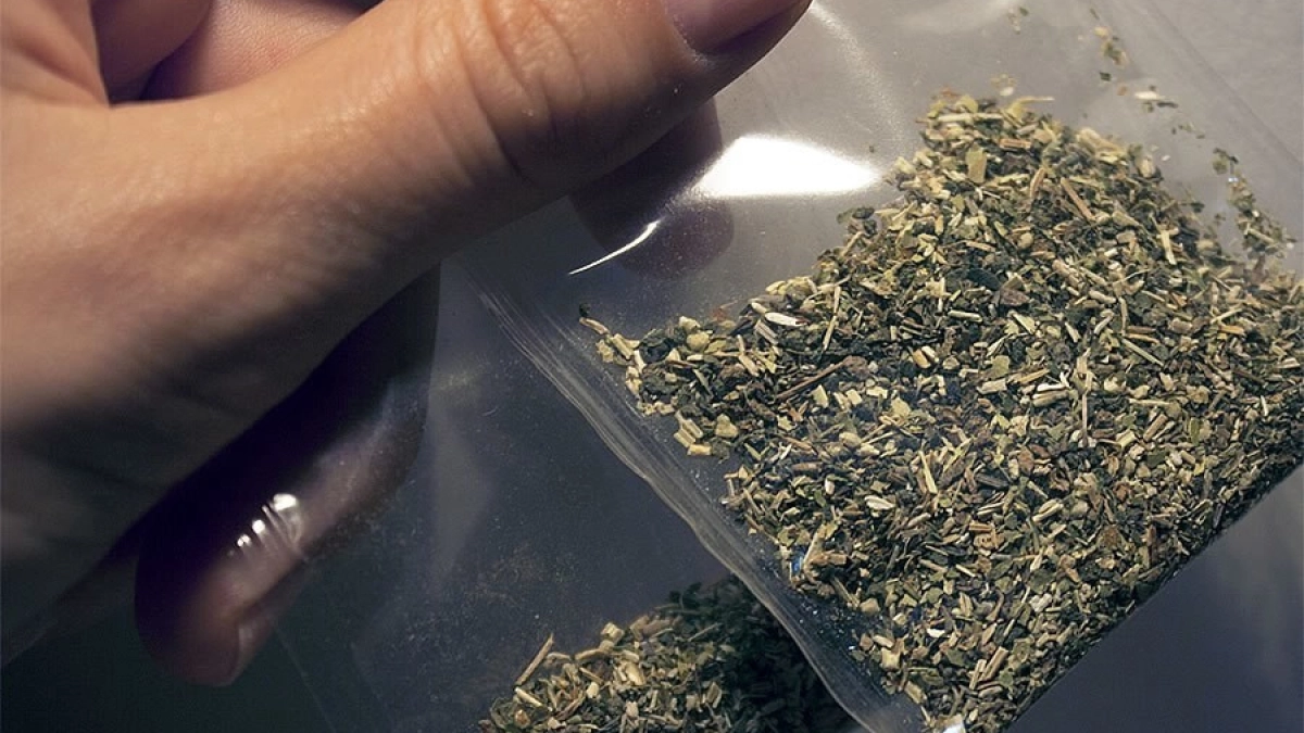 Мониторинг: лишь в 7 районах Мордовии нет больных наркоманией