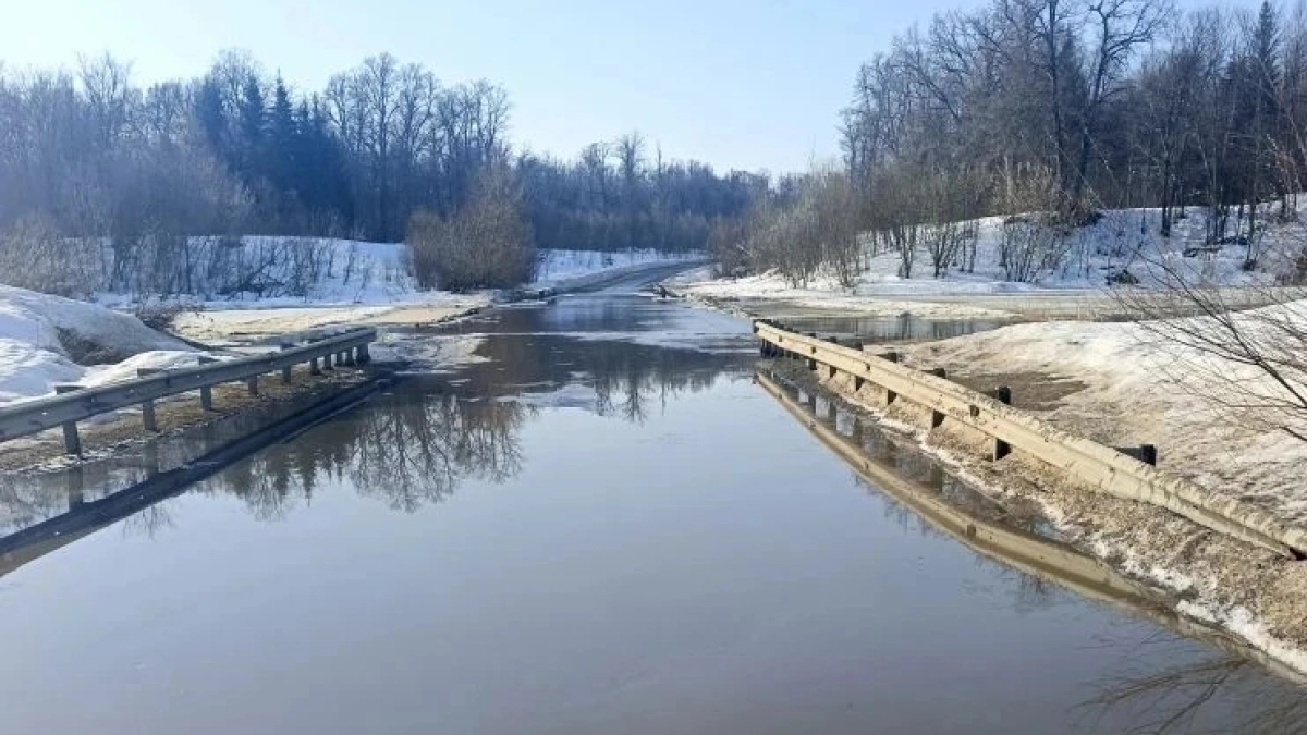 МЧС: в Мордовии подтоплены 4 низководных моста